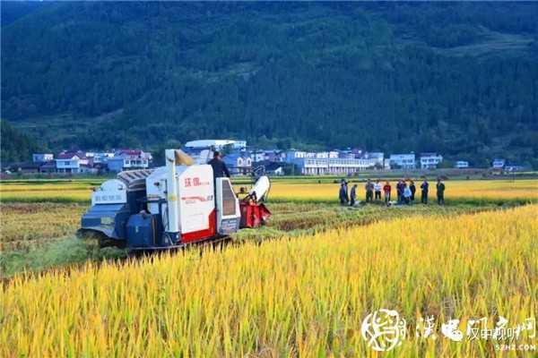 撒花！我市七家企業(yè)通過GAP認證，拿到通行全球“護照”