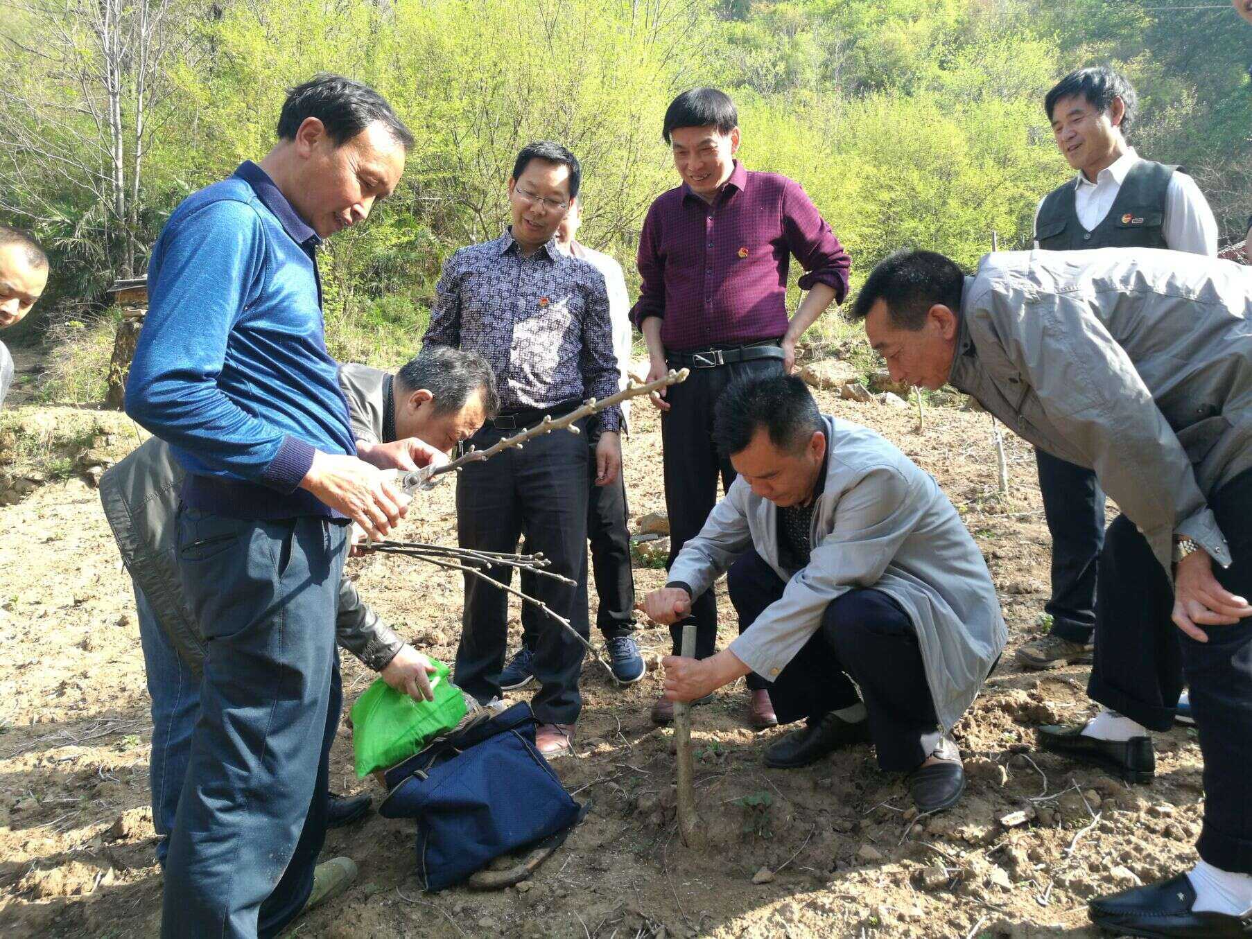 佛坪縣：“四強四促”促脫貧成果鞏固提升