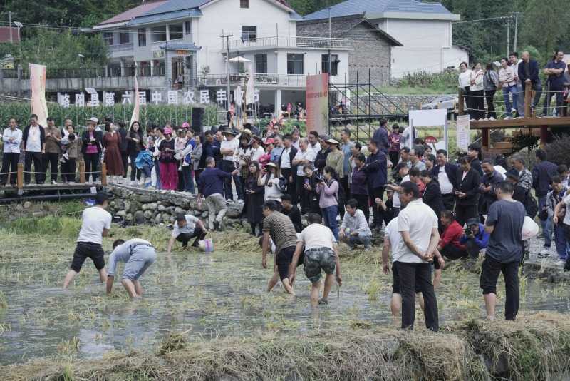 慶豐收，促和美 | 略陽縣第六屆中國農民豐收節開幕