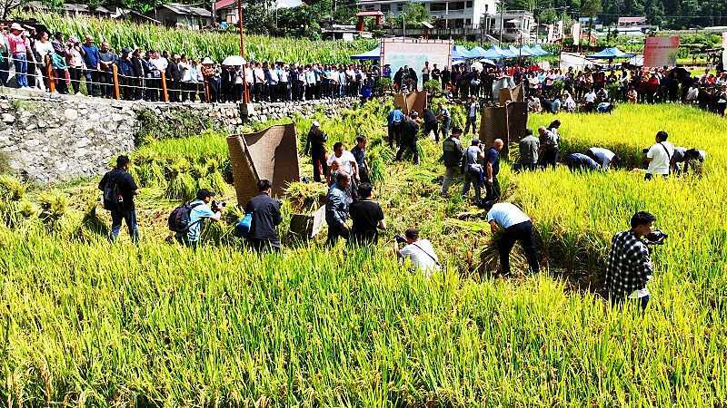 慶豐收，促和美|略陽縣第六屆中國農民豐收節開幕