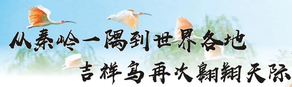 從秦嶺到世界！漢中創(chuàng)造生態(tài)奇跡！