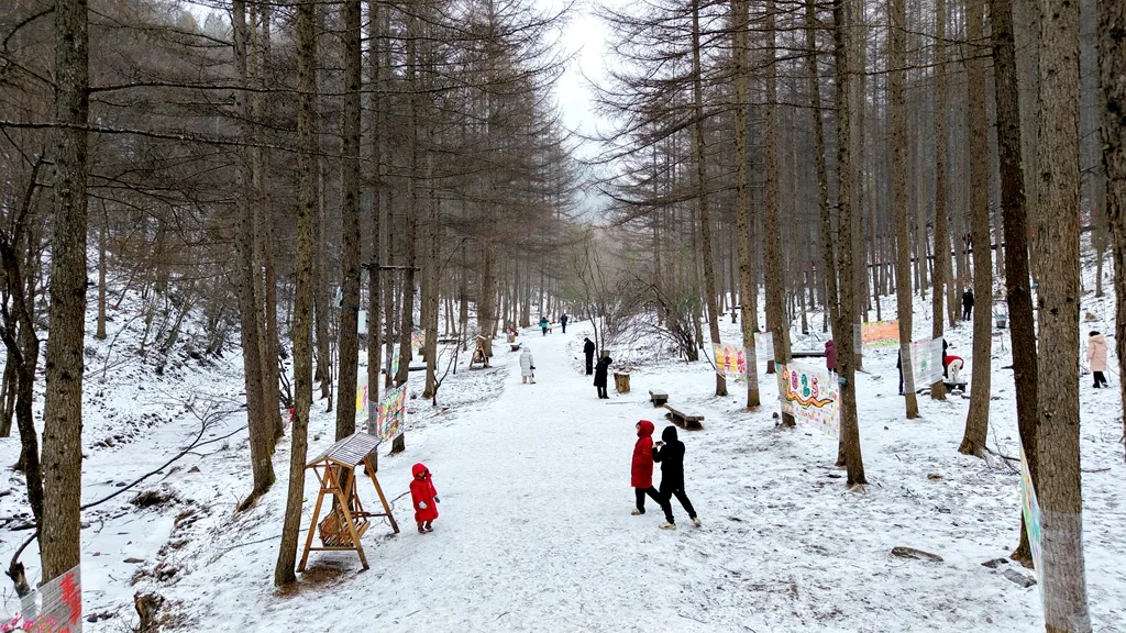 滑雪、戲雪、賞民俗！留壩景區“上才藝”