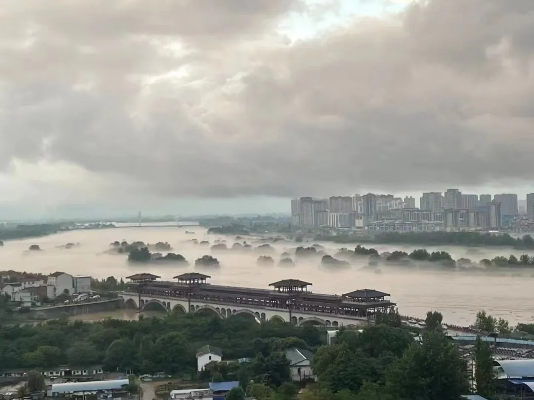 視覺漢臺 | 煙雨朦朧 油畫漢臺