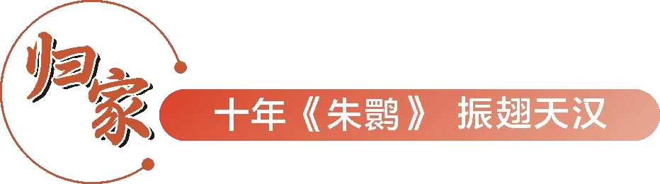 從秦嶺到世界！漢中創(chuàng)造生態(tài)奇跡！